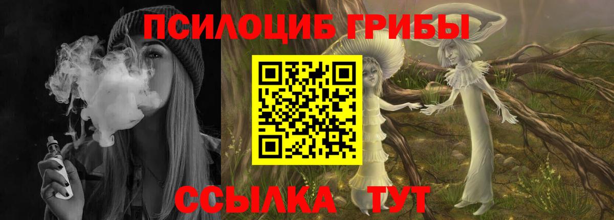 Псилоцибиновые грибы прущие грибы  как найти   Кизляр  Вход с VPN  Псилоцибиновые грибы GOLDEN TEACHER 