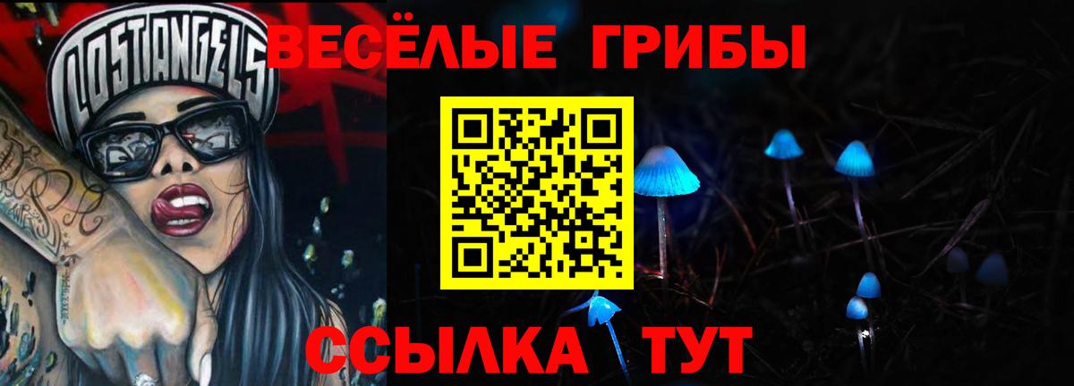 Галлюциногенные грибы Psilocybine cubensis Кизляр